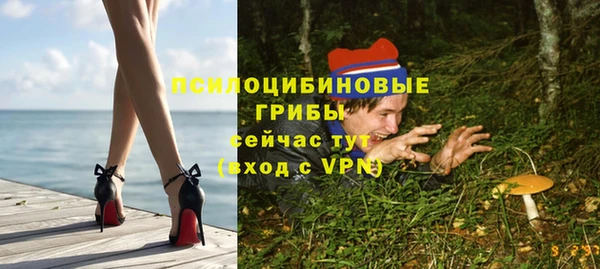 мяу мяу мука Арсеньев