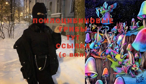 мяу мяу мука Арсеньев