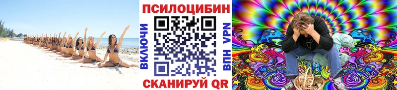 дарнет шоп  Тырныауз  блэк спрут зеркало  Псилоцибиновые грибы Magic Shrooms 